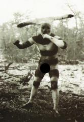 �Ñ�́w�|�P�����x���H �s�J�`���E�̂悤�Ȋi�D�����������������̐��̂́H