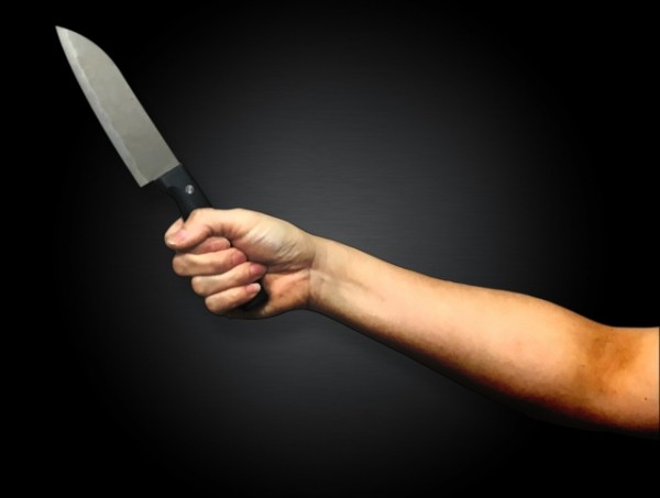 「娘の性行為をやめさせるために…」28歳母が11歳娘を殺害 あまりの異常さにネットも絶句