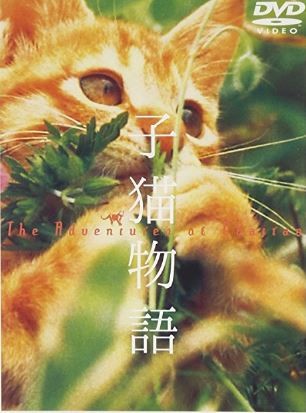 人間は映像に全く出ないドキュメンタリーではない動物映画「子猫物語」