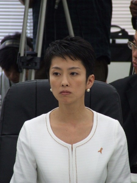蓮舫副代表、二階幹事長「まずまず収まった」発言を批判で『スーパー堤防政策の廃止』に改めて疑問の声