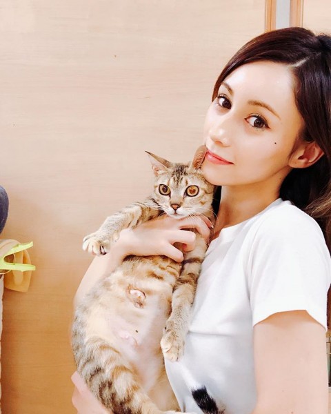 ダレノガレ、愛猫家から大きな期待と尊敬受ける 保護猫のためのインスタアカウント新設