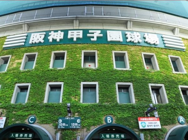 阪神タイガースの窮地にオーナー動かず! ファンの怒りが爆発